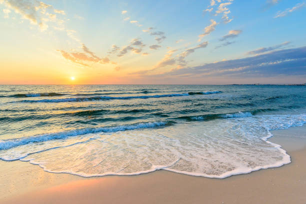 Sea Island: Coastal Tranquility - Sea Island