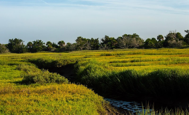 Little St. Simons Island - Little St. Simons