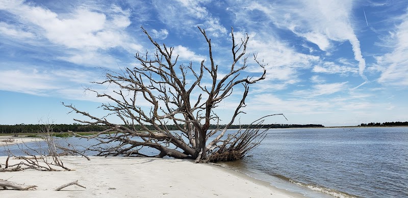 Cabretta Island Beach - Cabretta Island Beach