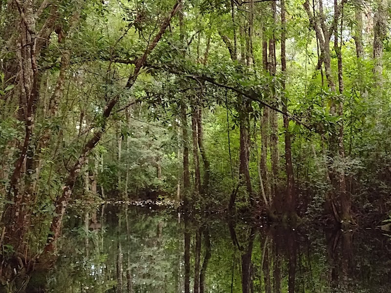 Waycross, Georgia adventures