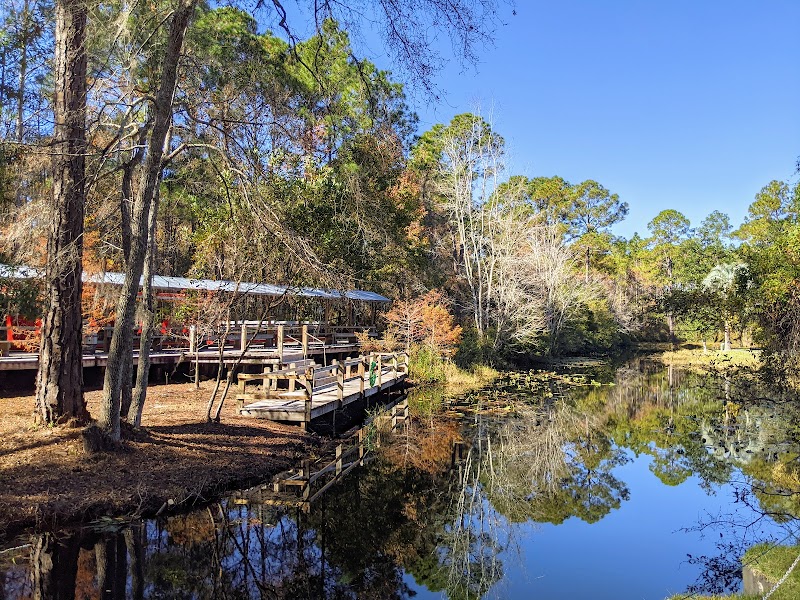 Okefenokee Swamp Park - Okefenokee Swamp Park