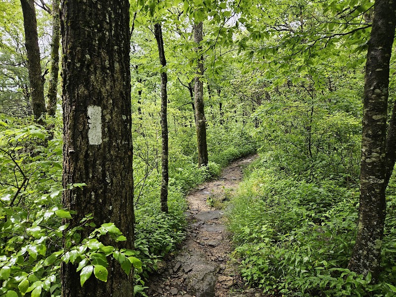 Springer Mountain Trailhead - Springer Mountain Trailhead