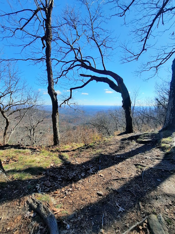 Springer Mountain Trailhead surrounding landscape