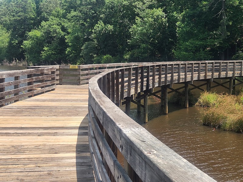 Panola Mountain State Park outdoor detail