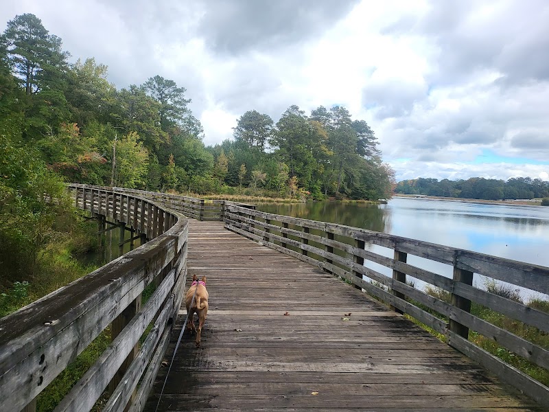 Panola Mountain State Park surrounding landscape