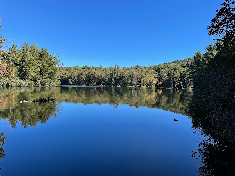 Cohutta Wilderness Area adventures