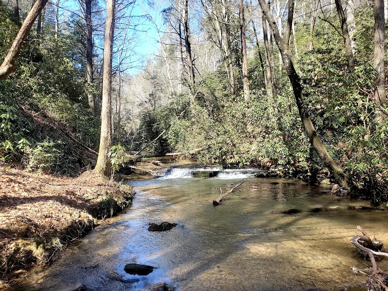 Yonah Preserve Trails surrounding landscape