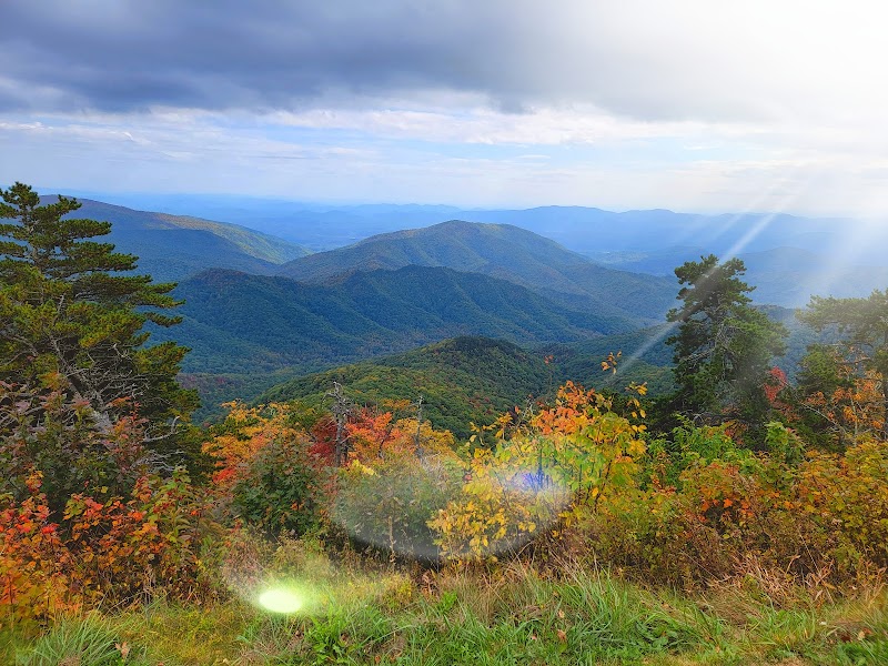 Mount Mitchell State Park - Mount Mitchell State Park