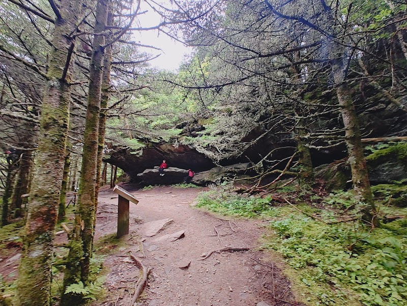 Mount Mitchell State Park surrounding landscape