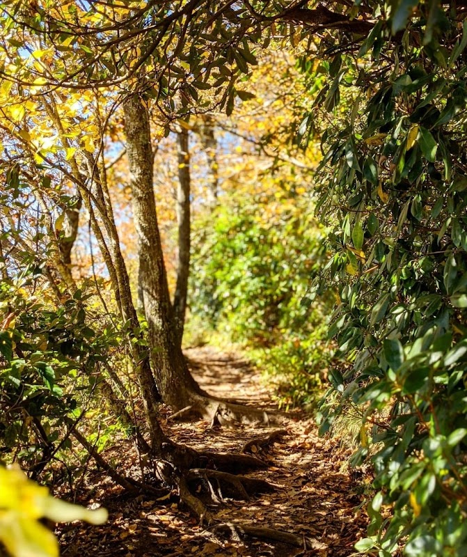 Whiteside Mountain: A Natural Wonder - Whiteside Mountain