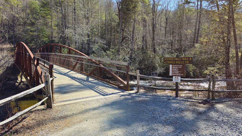 DuPont State Recreational Forest outdoor detail