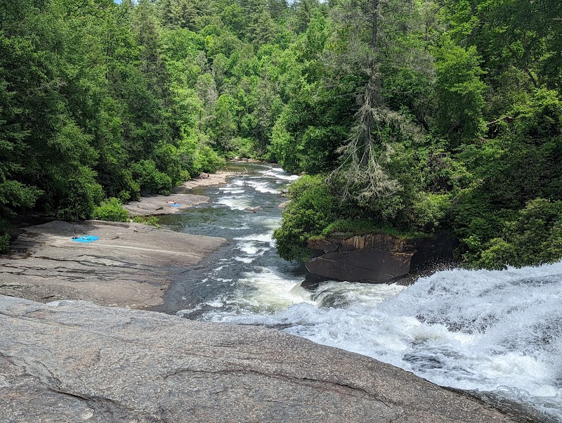 DuPont State Recreational Forest surrounding landscape