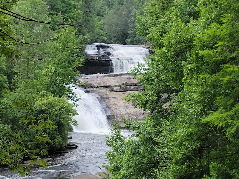 DuPont State Recreational Forest - DuPont State Recreational Forest