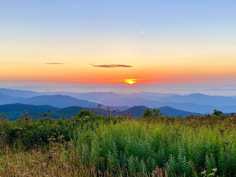 Black Balsam Knob - Black Balsam Knob