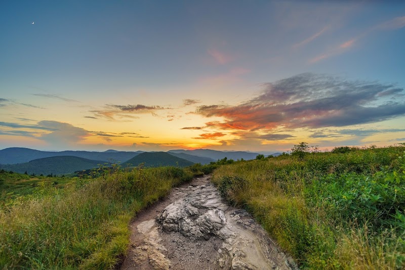 Black Balsam Knob - Black Balsam Knob