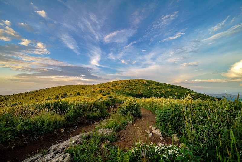 Black Balsam Knob - Black Balsam Knob