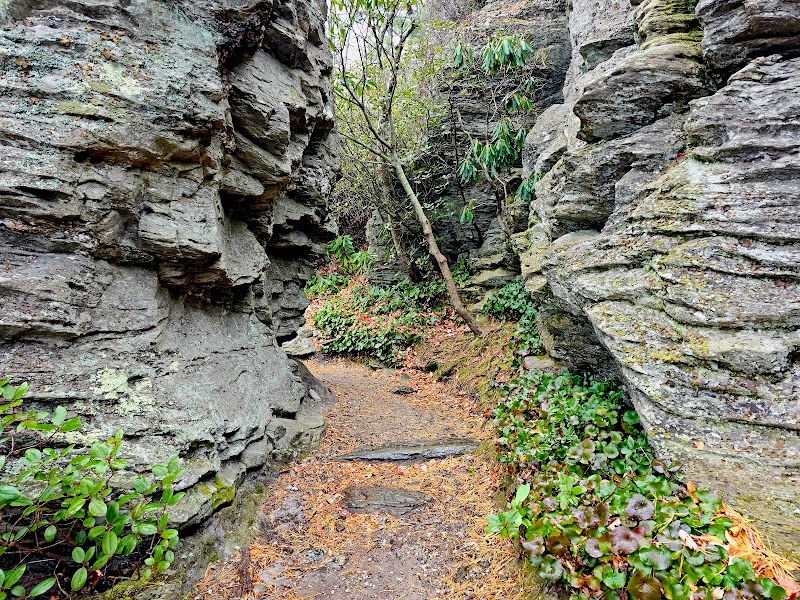 Table Rock Mountain - Table Rock Mountain