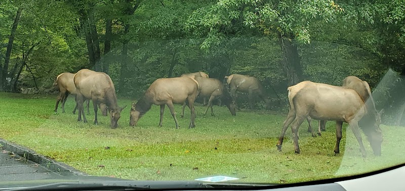 Cataloochee - Cataloochee