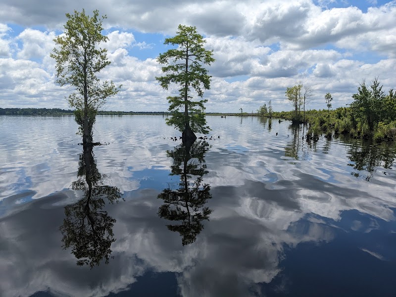 Great Dismal Swamp National Wildlife Refuge - Great Dismal Swamp National Wildlife Refuge