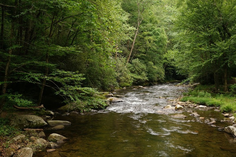 Nantahala National Forest outdoor detail