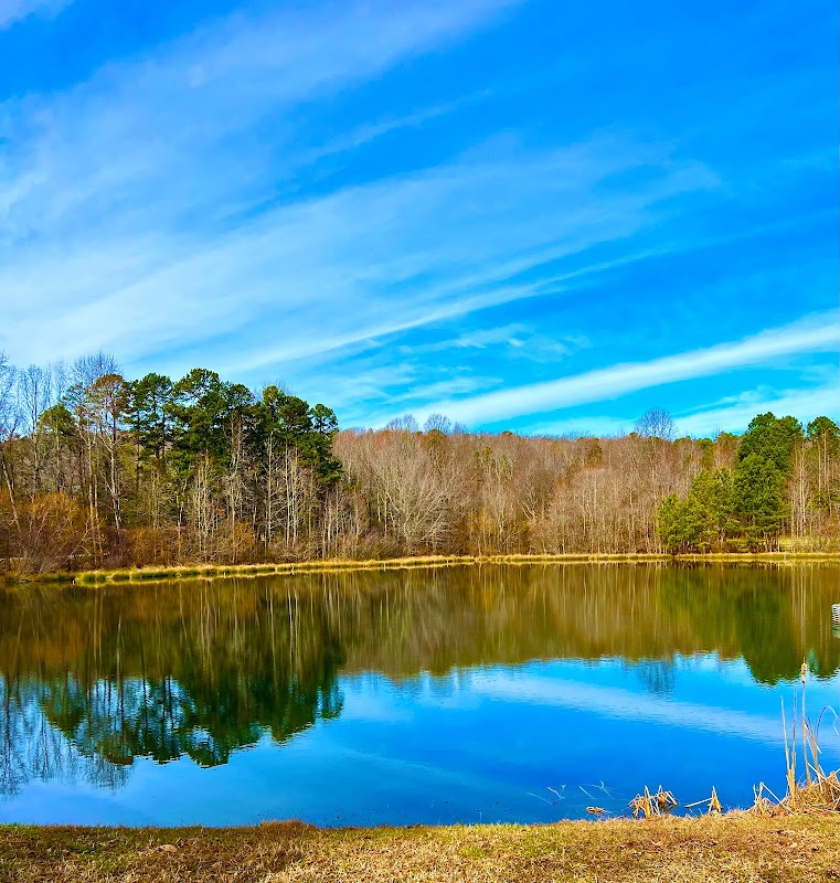 Occoneechee Mountain State Natural Area - Occoneechee Mountain State Natural Area