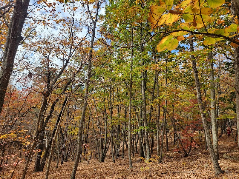 Occoneechee Mountain State Natural Area surrounding landscape