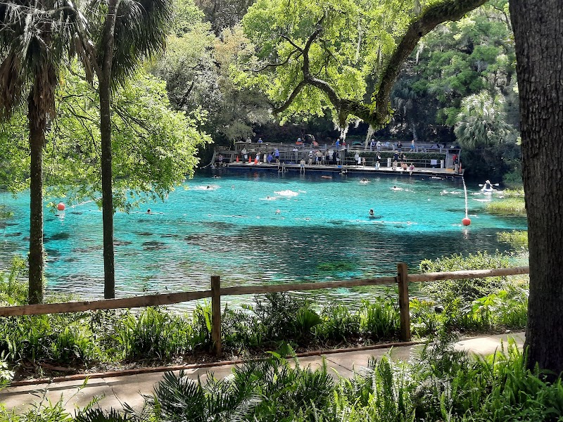 Rainbow Springs surrounding landscape