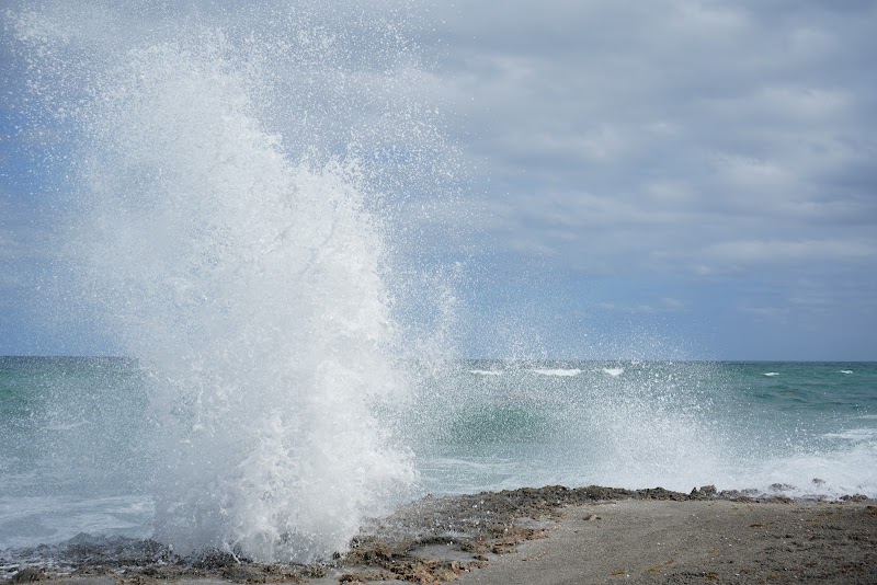 Blowing Rocks Preserve - Blowing Rocks Preserve
