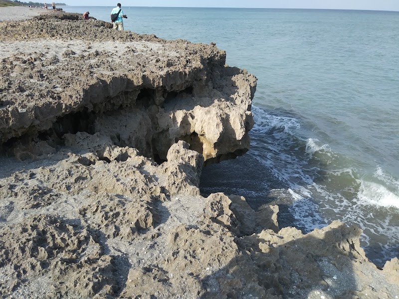 Blowing Rocks Preserve outdoor detail