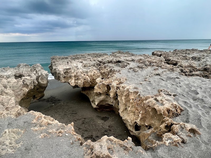 Blowing Rocks Preserve adventures
