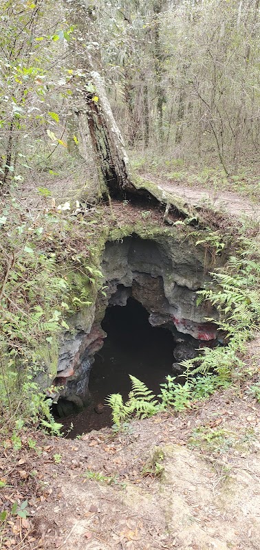 Dames Cave  surrounding landscape