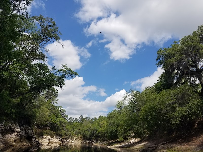 Suwannee River outdoor detail