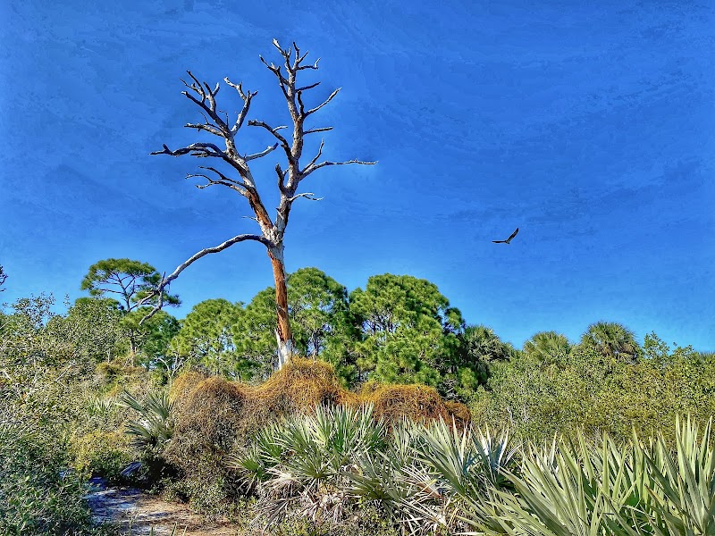 Nathaniel P. Reed Hobe Sound National Wildlife Refuge - Nathaniel P. Reed Hobe Sound National Wildlife Refuge