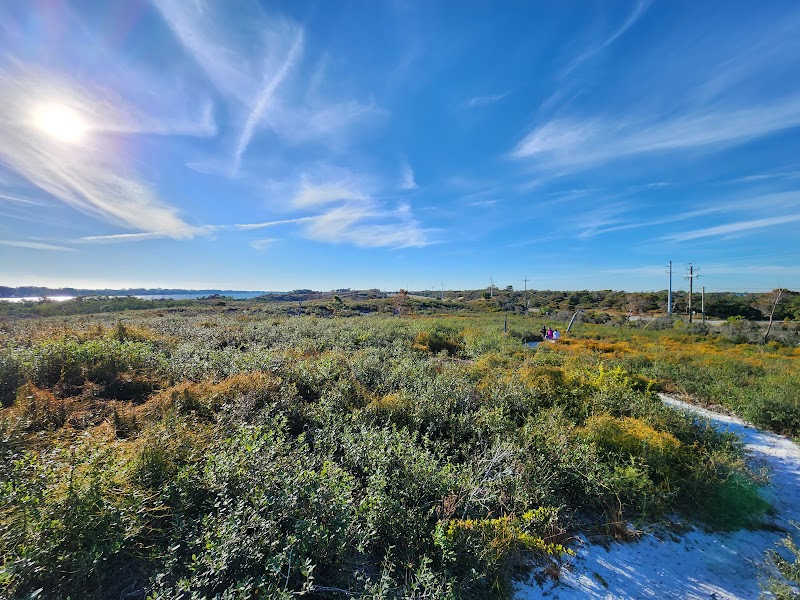 Nathaniel P. Reed Hobe Sound National Wildlife Refuge surrounding landscape
