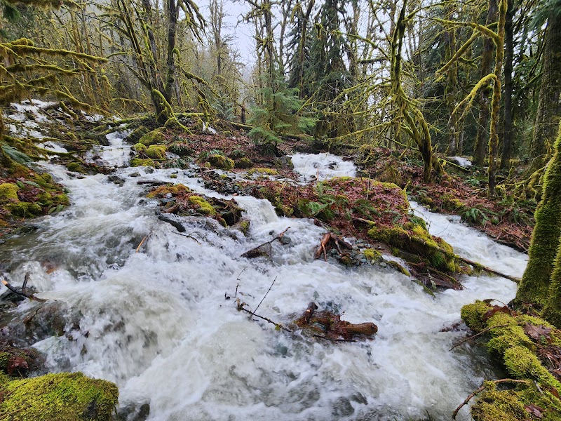 Baker River Trail - Baker River Trail