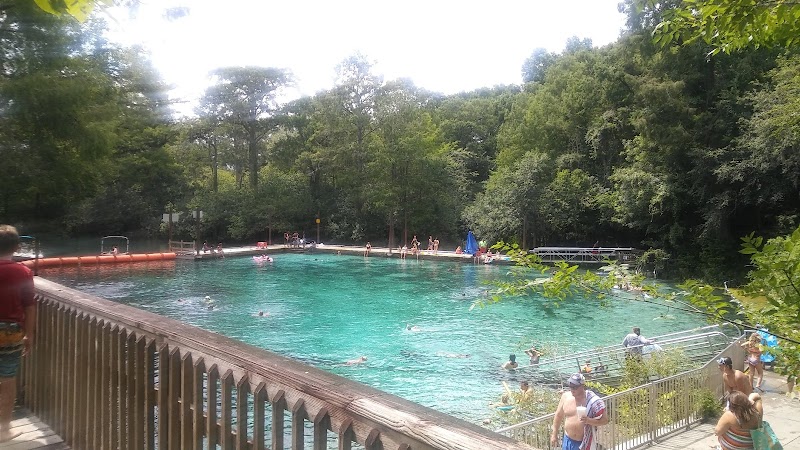 Fanning Springs: A Natural Gem - Fanning Springs