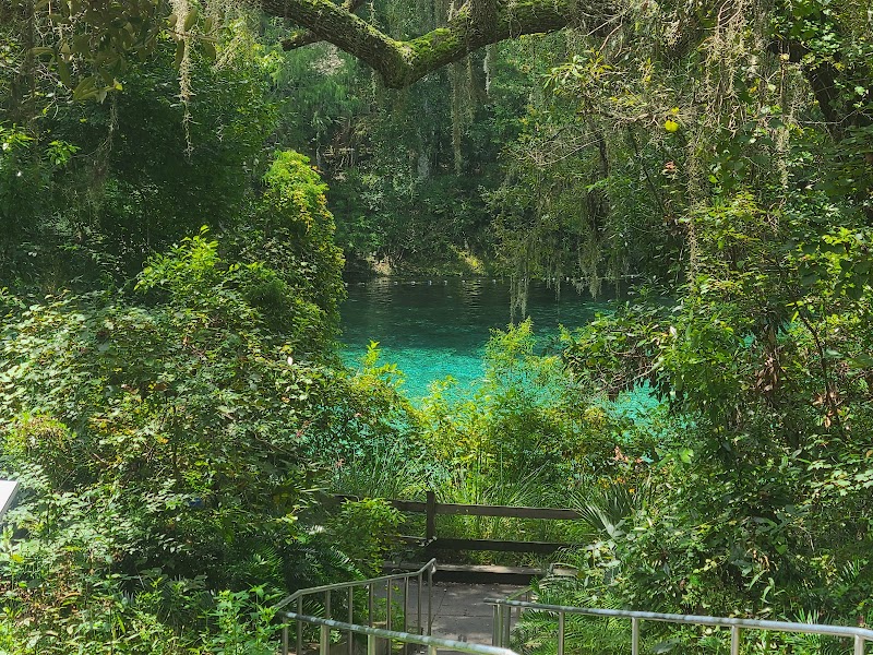 Fanning Springs: A Natural Gem outdoor detail