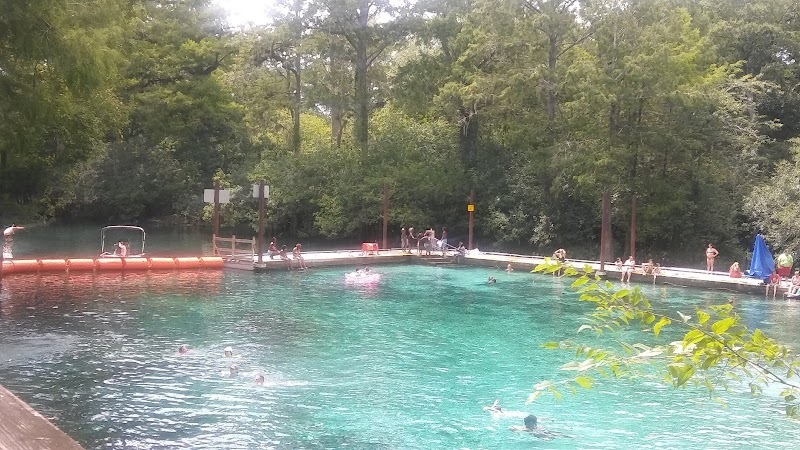 Fanning Springs: A Natural Gem - Fanning Springs