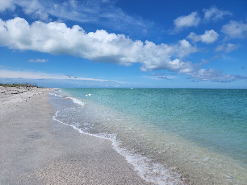 Cayo Costa: A Coastal Paradise - Cayo Costa