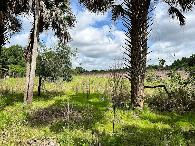 Myakka River State Park: A Natural Haven surrounding landscape