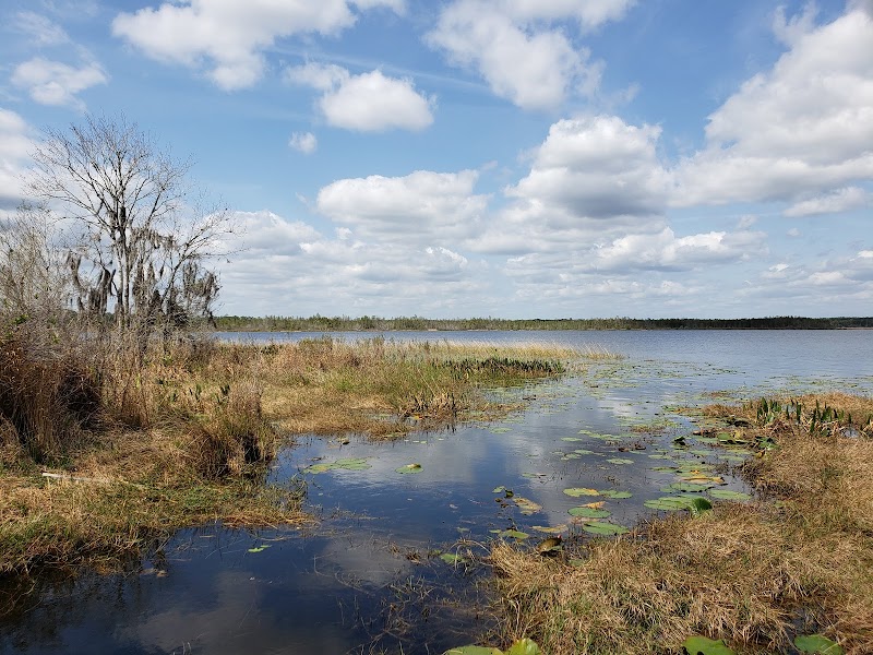Ocala National Forest surrounding landscape