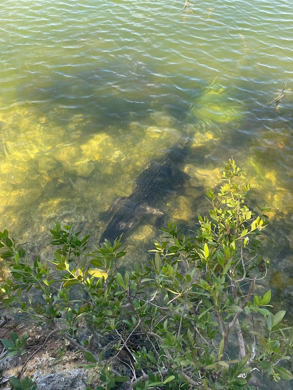 Blue Hole - Blue Hole