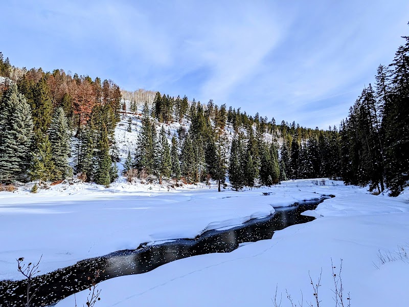 White River National Forest outdoor detail