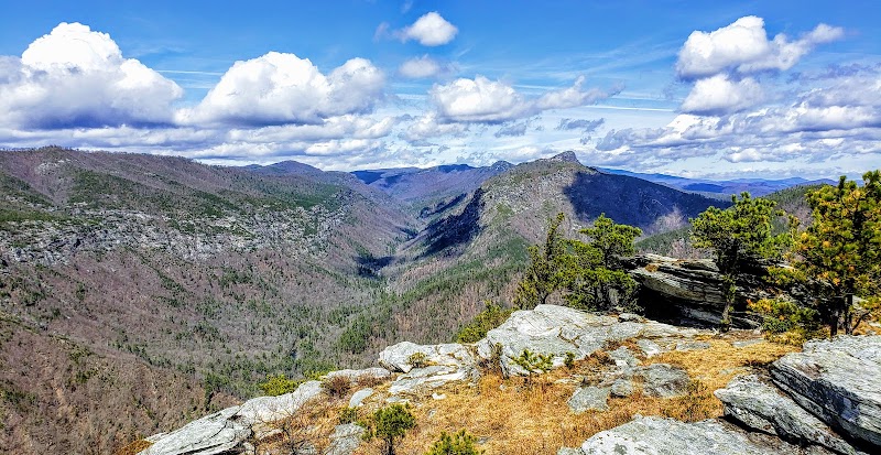 Shortoff Mountain - Shortoff Mountain