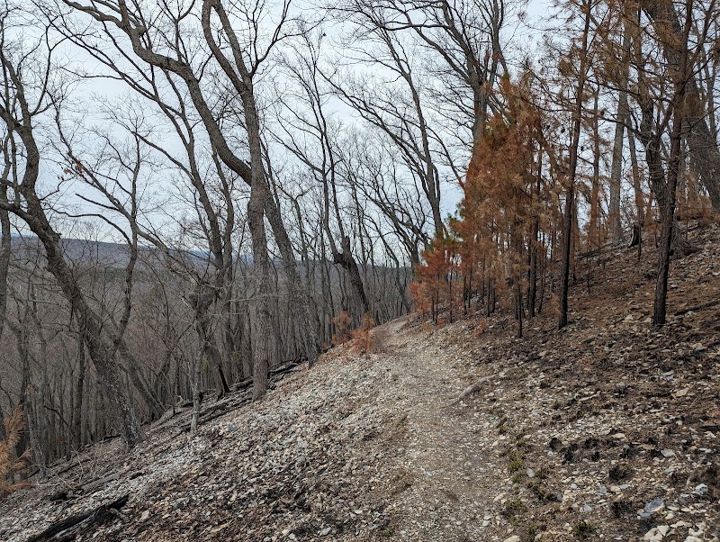 Morrow Mountain State Park outdoor detail