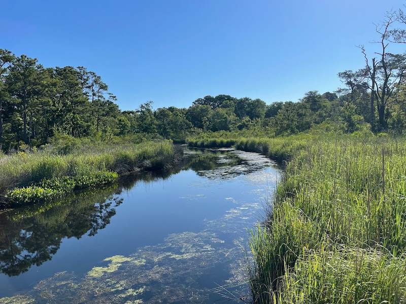 Currituck Banks Reserve: Explore Nature's Tranquility - Currituck Banks Reserve