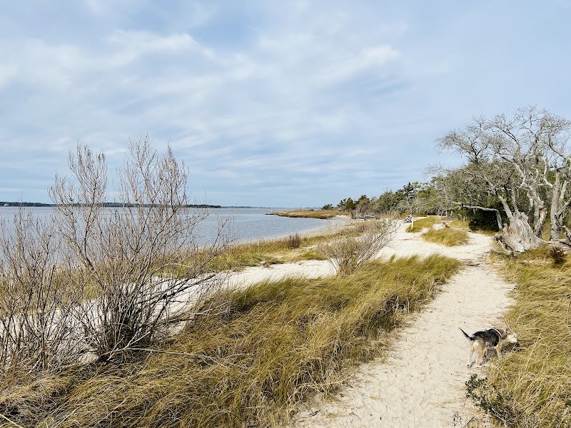 Carolina Beach State Park adventures