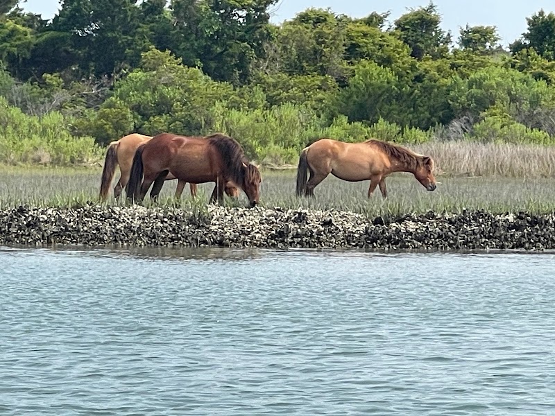 Rachel Carson Reserve surrounding landscape
