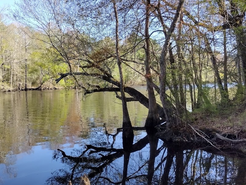 Lumber River State Park - Lumber River State Park