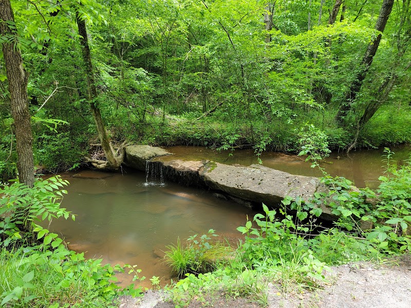 Mayo River State Park - Mayo River State Park